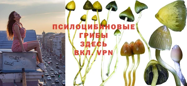 марихуана Нефтекумск
