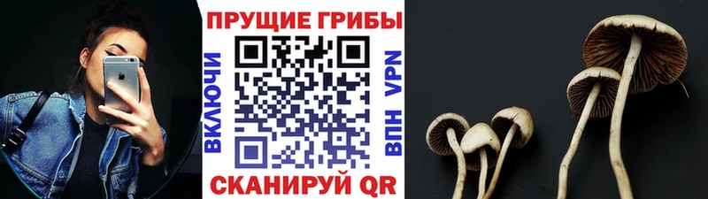 закладка  Тарко-Сале  OMG как войти  Галлюциногенные грибы мицелий 